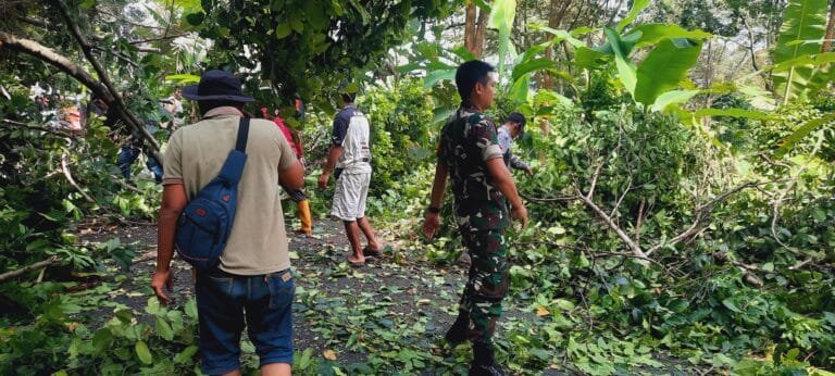 Babinsa Koramil 1003/Tanjungkerta, Kodim 0610/Sumedang Serda Ali Wahyudi Bersama Warga Gerak Cepat Evakuasi Pohon Tumbang