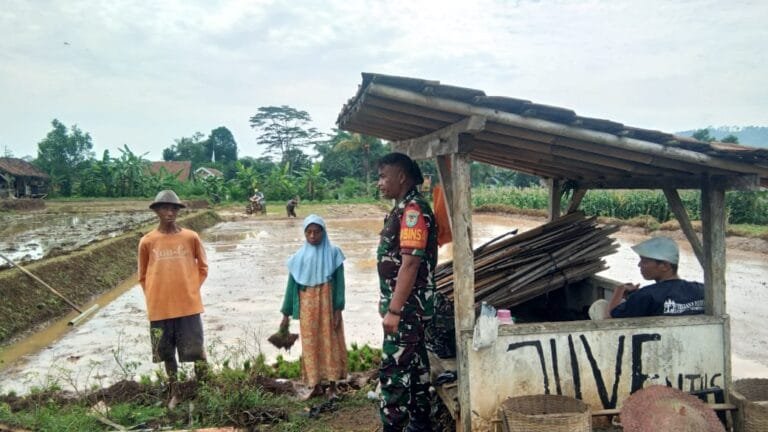 Koramil 1002/Cimalaka Kodim 0610/Sumedang, Sertu Encang Darusman Laksanakan Giat Komsos Bersama Petani