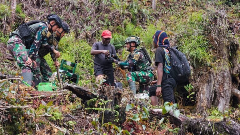 Sambut HUT ke-63 Kostrad, Satgas 330 Tanam 100 Bibit Pohon Mahoni, Mitigasi Dampak Deforestasi Hutan di Intan Jaya