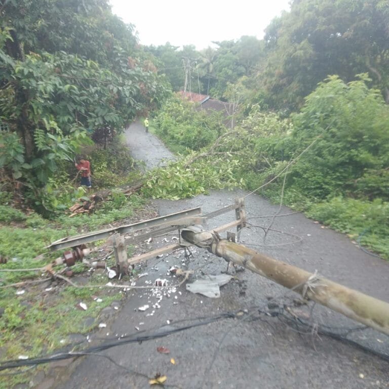Komitmen Jaga Kualitas Pelayanan Menjelang Ramadhan, Tim Recovery PLN Gerak Cepat Tangani Gangguan Akibat Cuaca Ekstrem di Garut Selatan