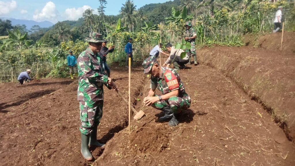TNI Gerakan Penanaman Pohon Jenis Gamelina Dilahan 0,5 Hetar, Dalam Rangka Penghijauan