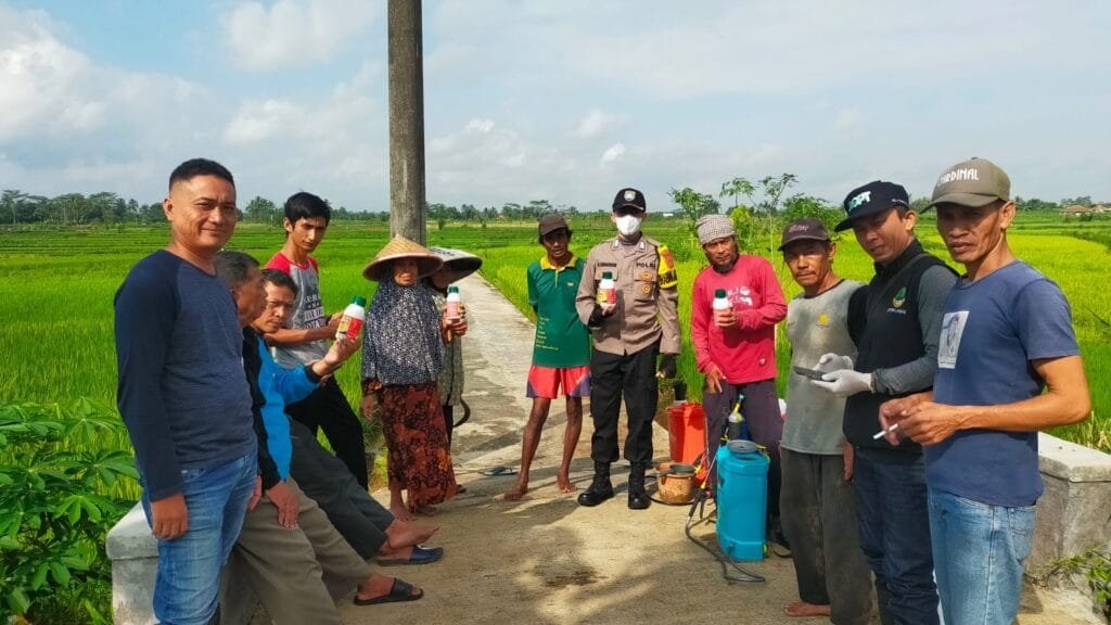 Kabid Humas Polda Jabar : Polisi Lakukan Penyemprotan Serentak Pengendalian Hama WBC (Wereng Coklat) di Sawah Desa Gegempalan