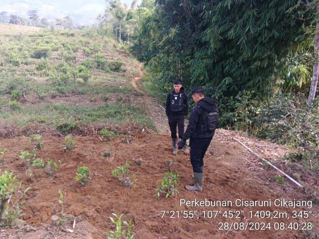 Sat Samapta Polres Garut Patroli Ke Perkebunan Teh 1 IMG 20240828 WA0034