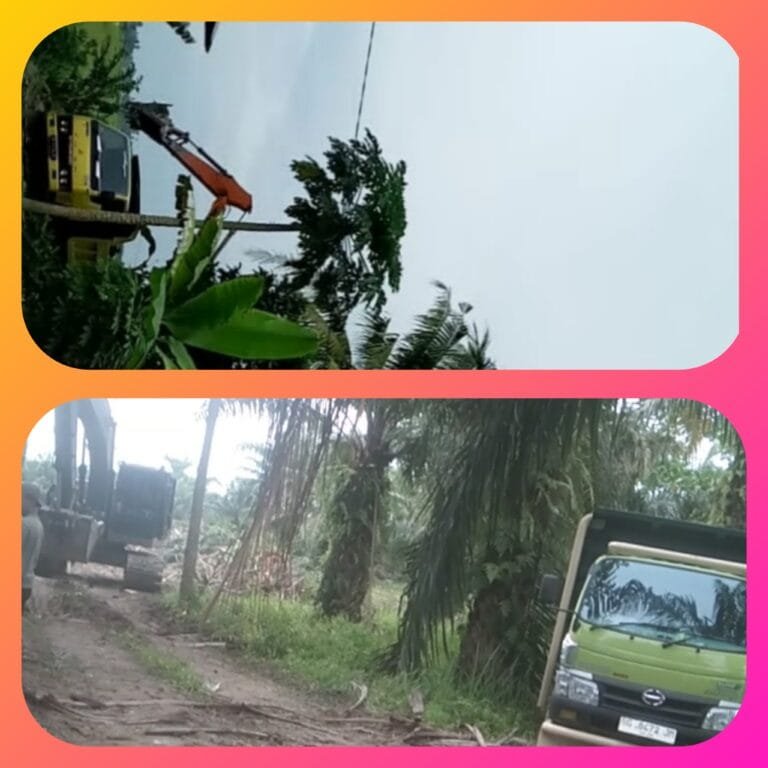 Modus Cetak Sawah, Galian C Marak Beroperasi: Pemerintahan dan Aparat Hukum Terkesan Tutup Mata