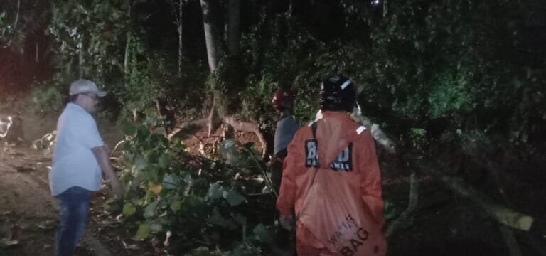 Pohon Tumbang Menimpa 40 Rumah, Polres Ciamis Ikut Bantu Evakuasi Bersama BPBD Ciamis
