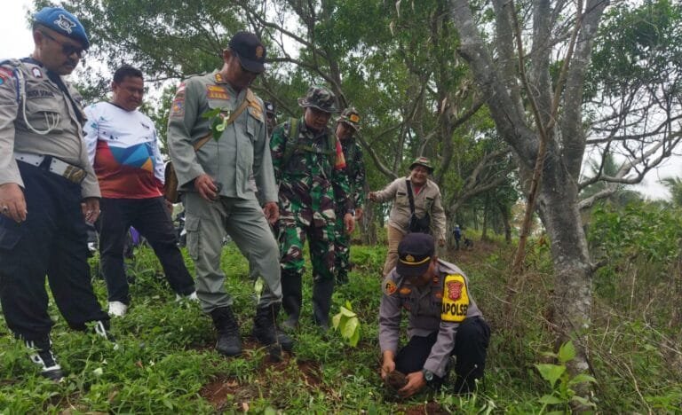 Penanaman Pohon Dalam Rangka Reboisasi Di Wilayah Pesisir