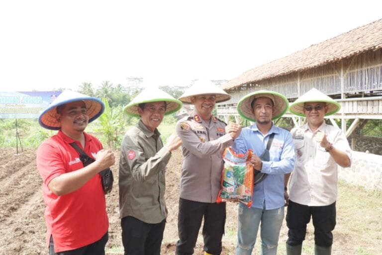 Ketahanan Pangan, Kapolres Ciamis Turun ke Ladang Tanam Jagung Bareng Warga Cimari