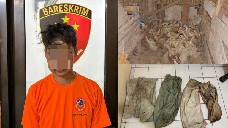 Polsek Banyuresmi Amankan Pelaku Pencurian Hewan