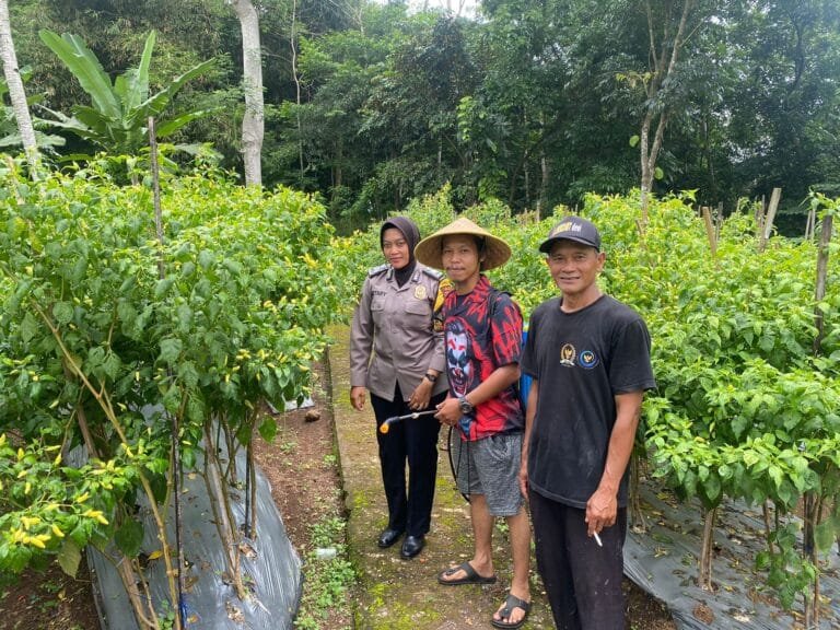 Soliditas TNI-Polri, Polsek dan Koramil Ciamis Cooling System ke Poktan Mekar Mukti