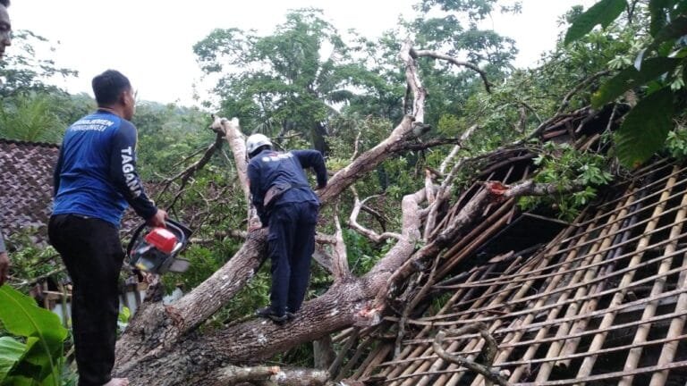 Sigap, Polsek Pamarican Polres Ciamis Datang dan Ikut Evakuasi Pohon Tumbang Menimpa 2 Rumah