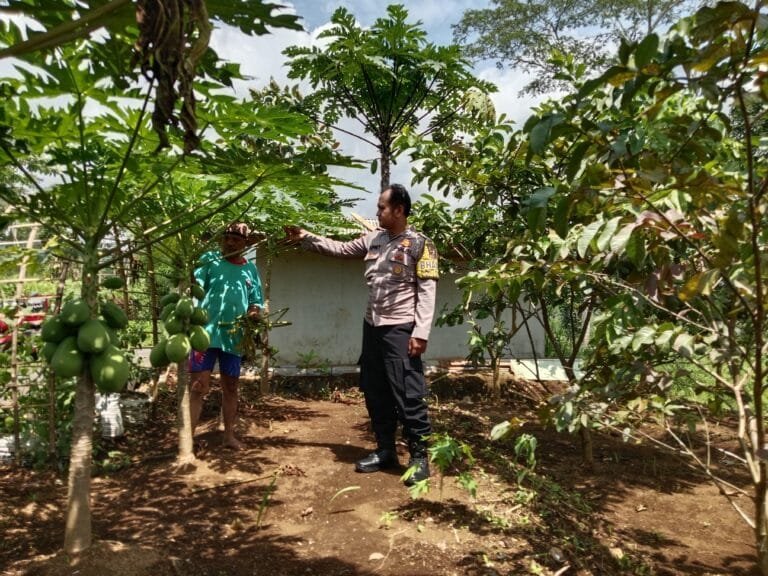 Dukung Asta Cita Presiden RI, Polsek Cikoneng Ajak Warga Buat Pekarangan Rumah Jadi Produktif