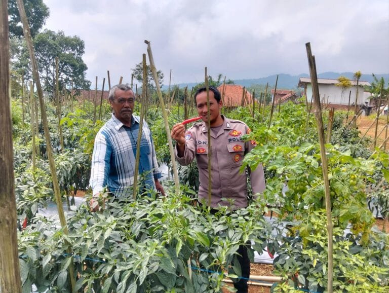 Soliditas TNI-Polri, Polsek dan Koramil Panjalu Cooling System ke Poktan Bunga Desa Cibeureum