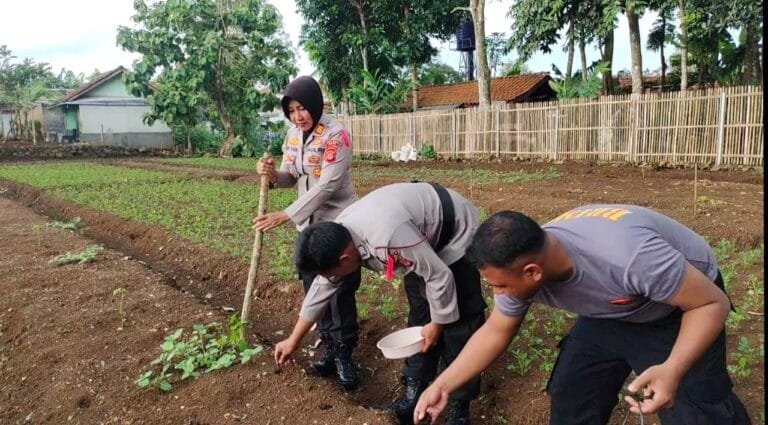 Polsek Kawali Gelar Program Ketahanan Pangan, Dukung Asta Cita Presiden Prabowo Subianto