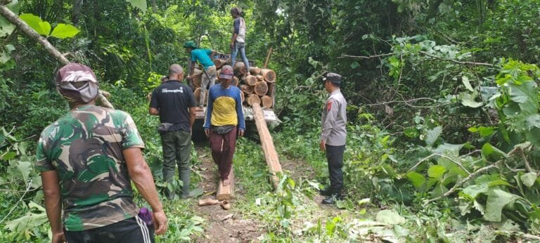 Cooling System, Polsek Cisaga Polres Ciamis Koorkom Bersama Warga Saat Penebangan Kayu