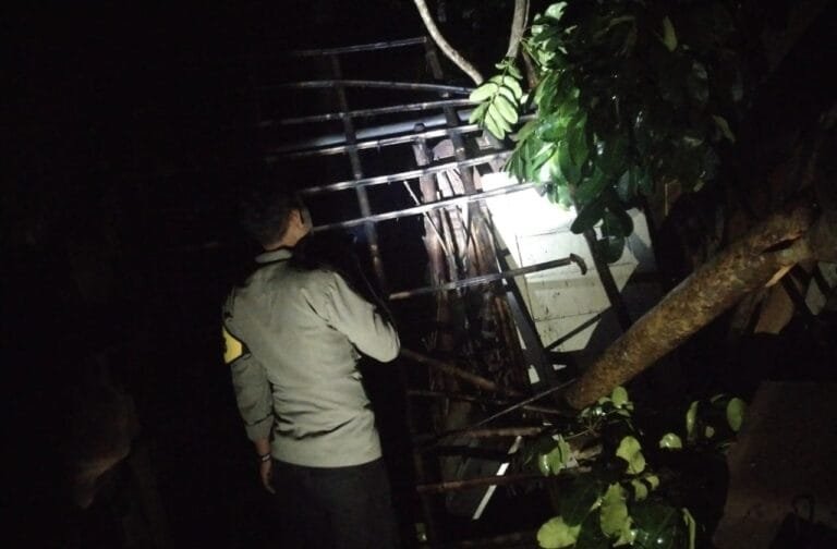 Personel Polsek Cisaga Datangi TKP Pohon Tumbang Menimpa Rumah di Mekarmukti