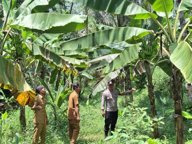 Bhabinkamtibmas Desa Salakaria Dukung Program ASTA CITA di Bidang Ketahanan Pangan
