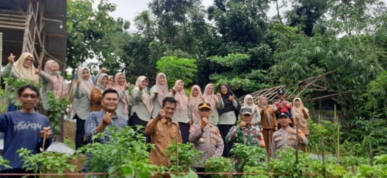 Polsek Banjarsari Gelar Penanaman Jagung Serentak di Sindanghayu untuk Dukung Ketahanan Pangan Nasional