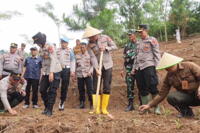 Penanaman Jagung dalam Program Ketahanan Pangan Menuju Indonesia Emas 2045