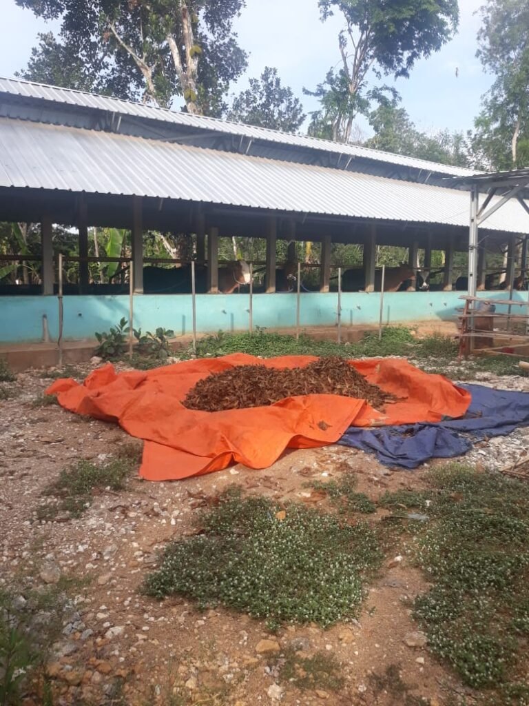 Dugaan Kongkalikong Korlu Rubaru dengan Penerima Manfaat Bantuan OPPO dan Pemberian Keterangan Palsu