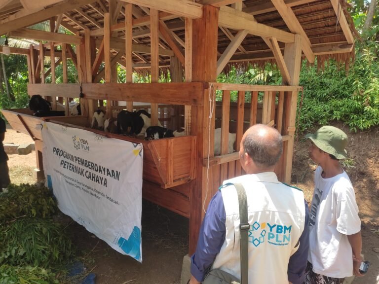 Tingkatkan Perekonomian Lokal, PLN UP3 Tasikmalaya Bersama YBM PLN Serahkan 12 Ekor Kambing Kepada Masyarakat Adat Kampung Kuta