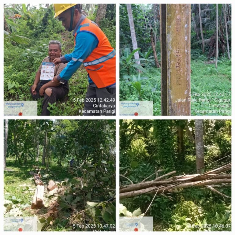 Akibat Tertimpa Pohon, Keandalan Listrik ke Pelanggan Terganggu