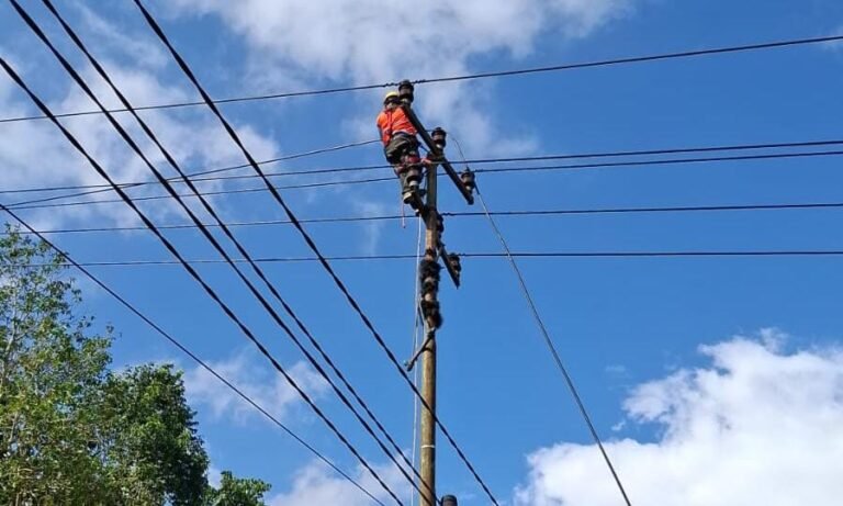 Akibat Cuaca Buruk, Kabel SUTM Putus Akibatkan Sistem Kelistrikan ke Pelanggan Mengalami Padam