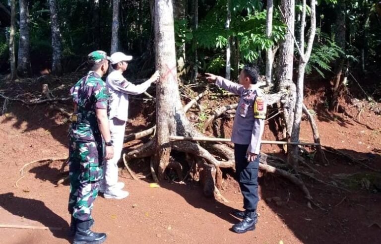 Mitigasi Bencana, Polsek Rancah Bersama Warga Tandai Pohon Rawan Tumbang di Desa Cisontrol