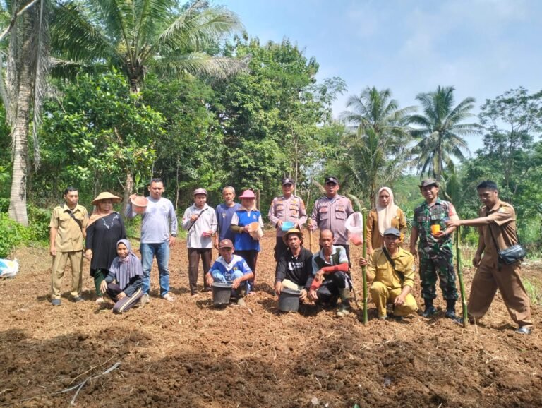Polsek Cisaga Dukung Program Asta Cita dengan Penanaman Jagung di Desa Sidamulya