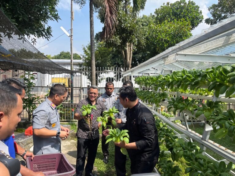Karutan Kelas I Medan Panen Sawi Hidroponik Bersama GM Hotel Grand Mercure