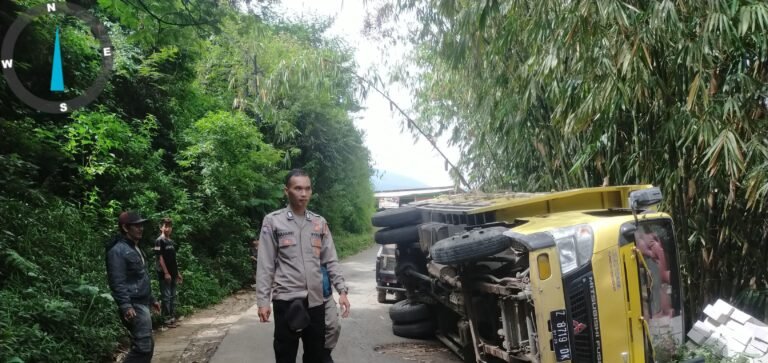 Laka Lantas Tunggal Truk Mitsubishi di Jalan Raya Banjarwangi-Singajaya