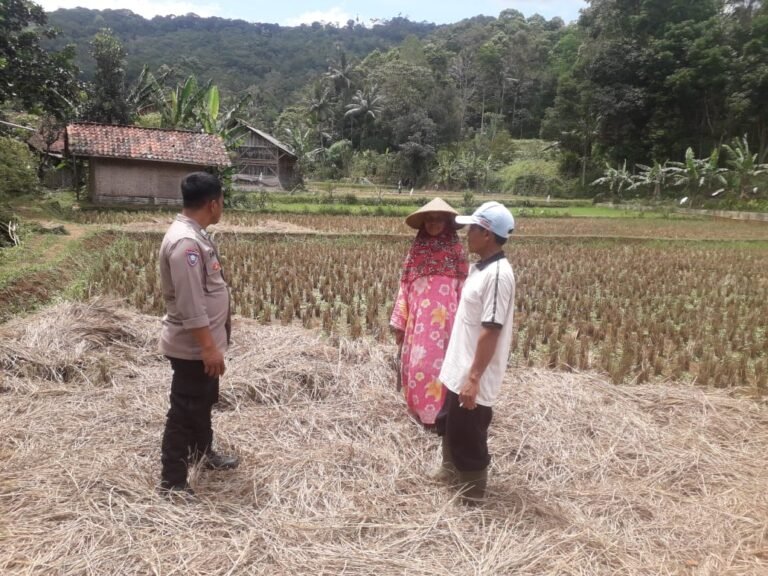 Soliditas TNI-Polri, Polsek dan Koramil Panjalu Cooling System ke Poktan Desa Maparah