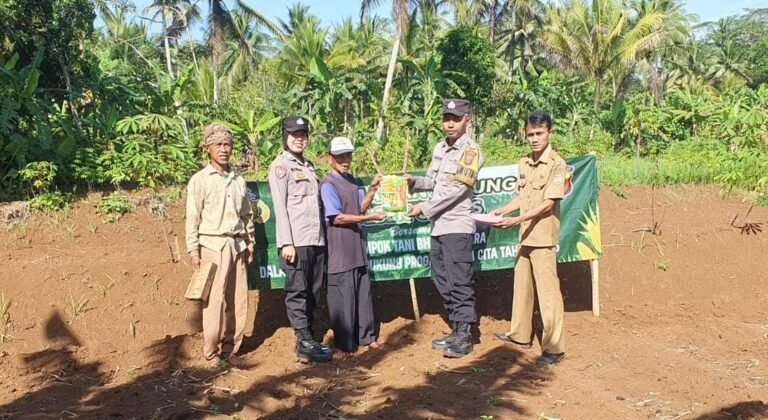 Ketahanan Pangan, Polsek Ciamis Polres Ciamis Ikut Tanam Jagung Bersama di Lahan Pertanian Warga