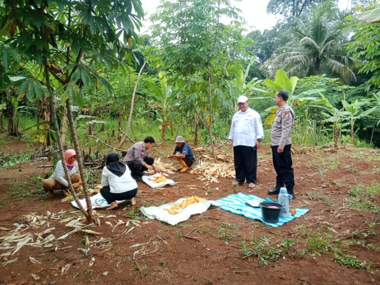 Cooling System, Polsek Cimaragas Koorkom di Lahan HanPangan ke Warga Raksabaya