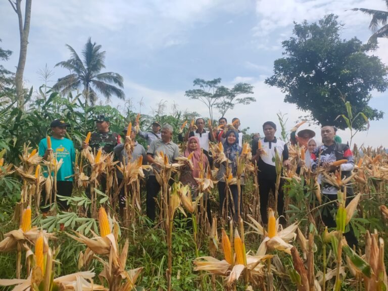 Cooling System, Polsek Rajadesa Koorkom di Lahan HanPangan Desa Tanjungjaya