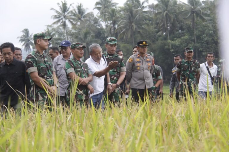Dandim 0612/Tasikmalaya Dampingi Danrem 062/Tn (Kolonel Inf Nurul Yakin, M.A. ) dalam Panen Raya Padi Organik Metode SRI di Ciamis