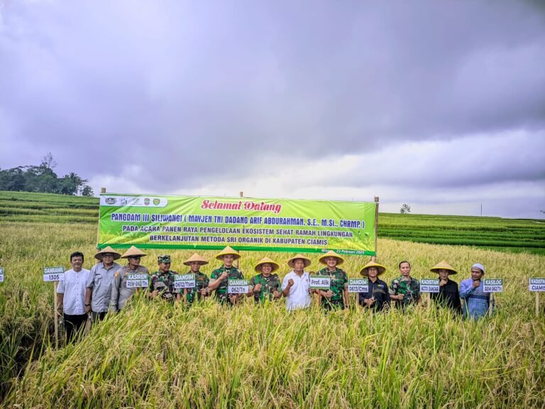 HanPangan, Kapolsek Cihaurbeuti Polres Ciamis Ikut Panen Raya Padi Organik di Desa Cijulang