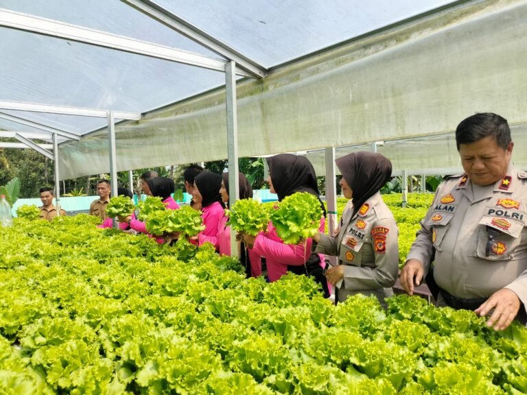 Polsek Ciamis Gelar Launching Penguatan Program Pekarangan Pangan Lestari untuk Ketahanan Pangan Nasional