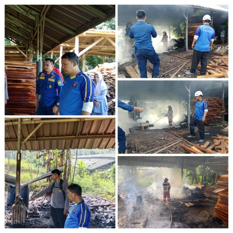 Pabrik Pengolahan Kayu Yang Berlokasi Di Dusun Sindangjaya Neglasari Pamarican Mengalami Kebakaran