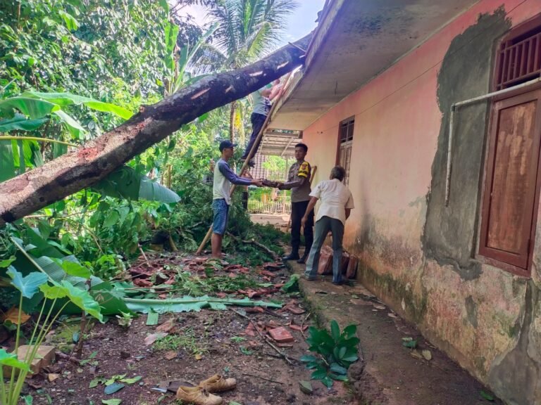 Pohon Tumbang Timpa Rumah Warga di Cisaga, Bhabinkamtibmas dan Warga Sigap Lakukan Evakuasi