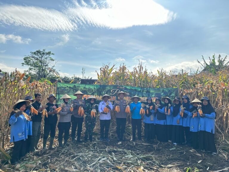 Mendukung Program Swasembada Pangan, Polres Garut Panen Raya Jagung.