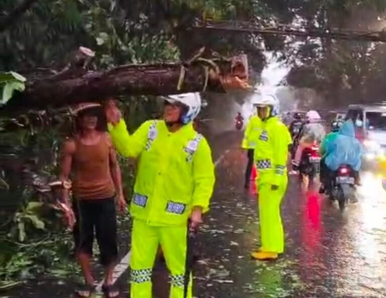 Tim Urai Sat Lantas Polres Ciamis Sigap Evakuasi Pohon Tumbang di Jalur Nasional III