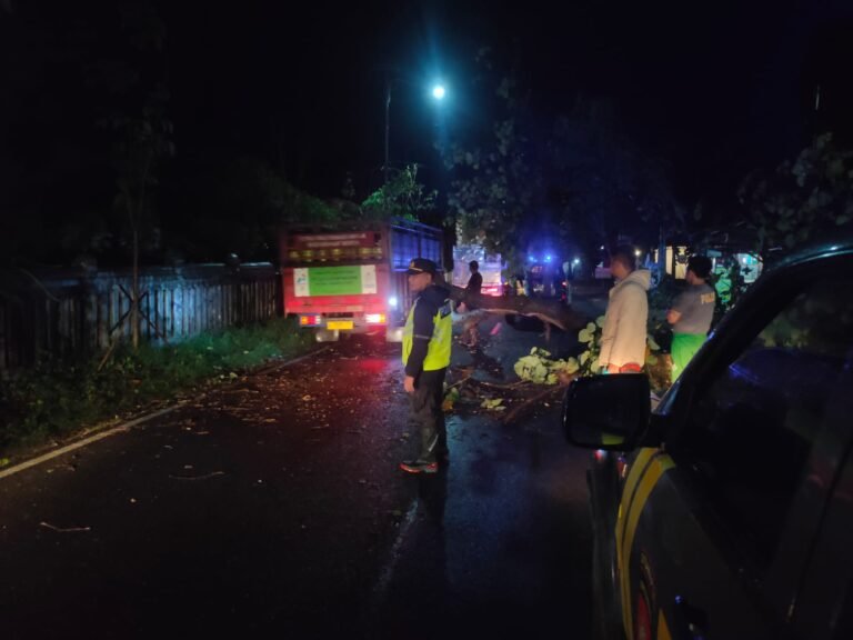 Polsek Cikelet Evakuasi Pohon Tumbang di Jalan Raya Lintas Selatan