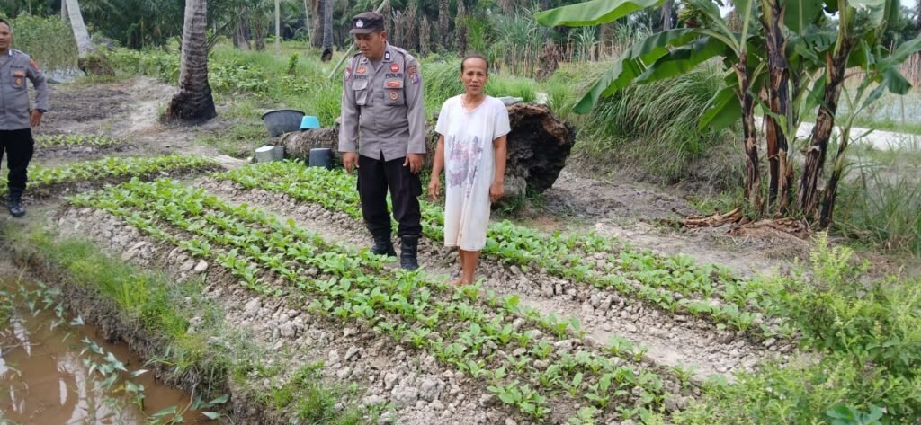 Polsek Medang Deras Koordinasi Dan Cek Lahan Ketahanan Pangan.