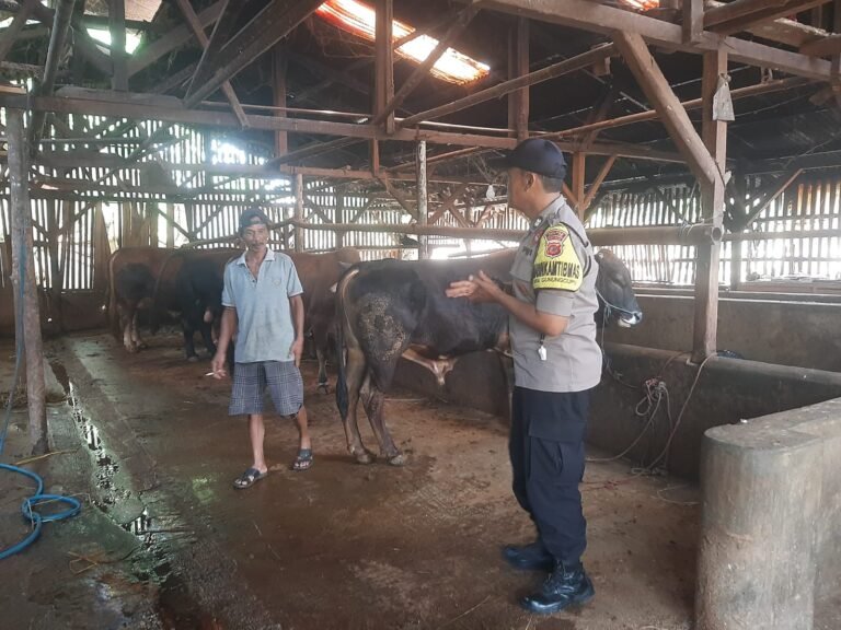 Cooling System, Polsek Cikoneng Polres Ciamis Koorkom Bahaya TPPO ke Warga di Budiasih