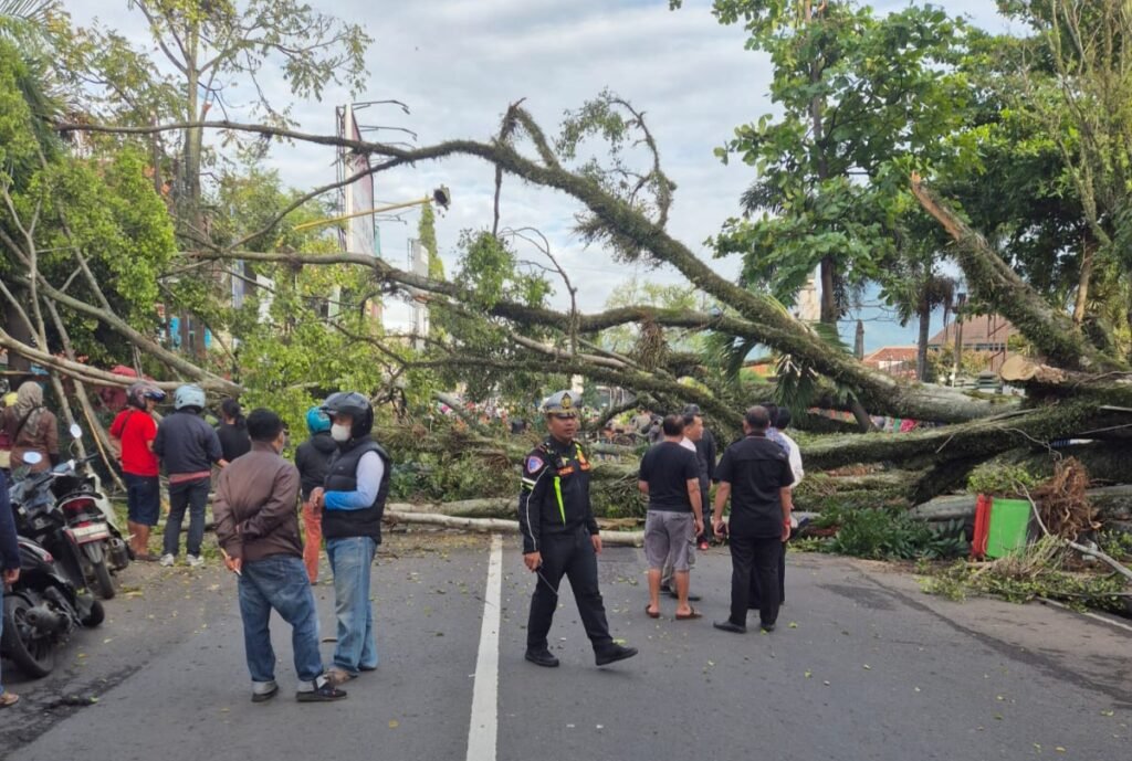 Sinergitas Kepolisian, Instansi terkait dan Masyarakat Setempat, Evakuasi Pohon Tumbang