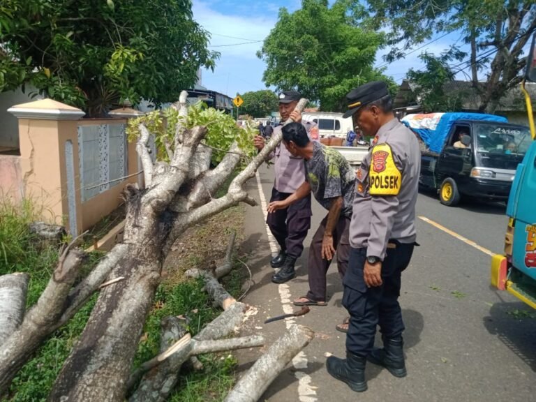 Polsek Cikelet Evakuasi Pohon Tumbang Tutup Jalan di Cikelet