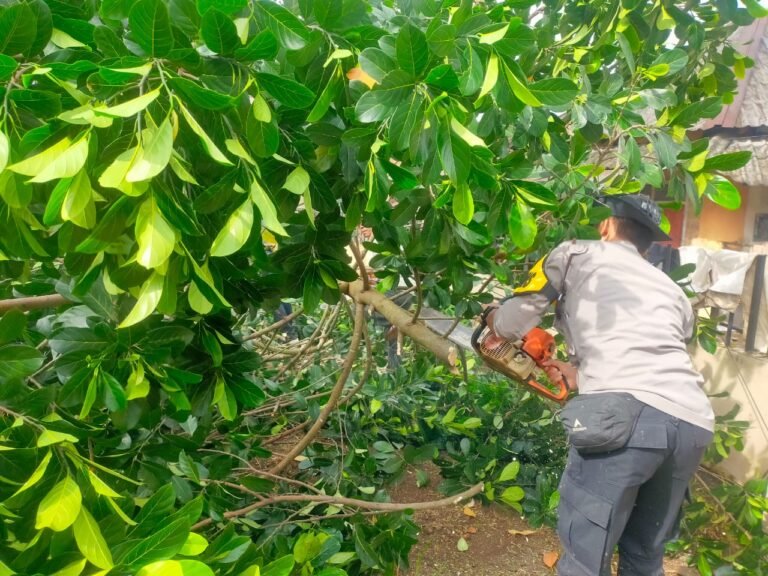 Polsek Cikoneng Kawal Penebangan Pohon Berisiko Demi Keselamatan Warga