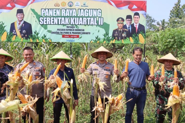 Polres Ciamis Gelar Panen Raya Jagung Serentak 2025, Dukung Program Ketahanan Pangan Menuju Indonesia Emas 2045