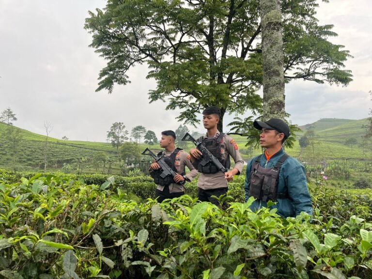 Sat Samapta Polres Garut Lakukan Pengamanan Perkebunan Teh PTPN