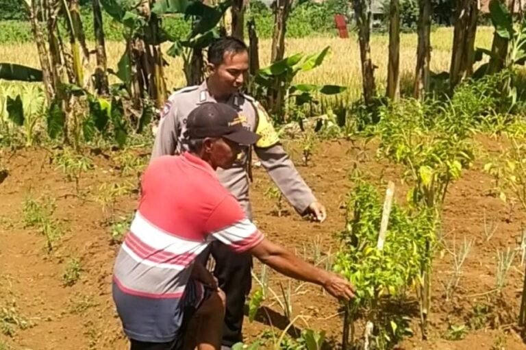 Polsek Cikoneng Terjunkan Bhabinkamtibmas, Sukseskan Program Ketahanan Pangan di Desa Sukamanah